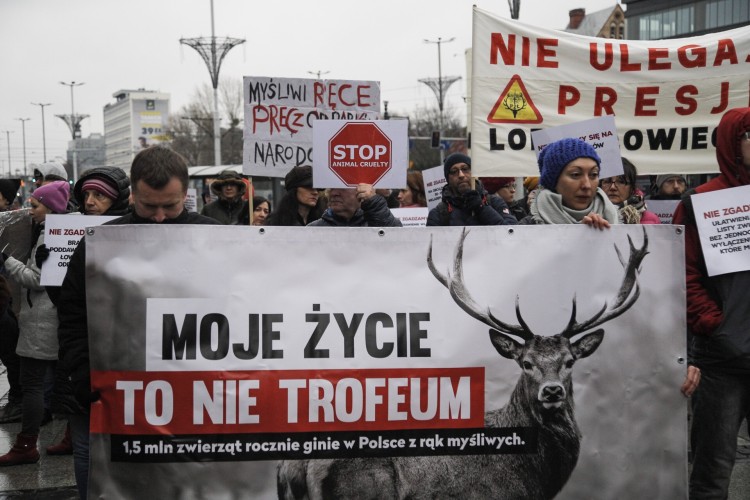 Wrocław: obrońcy zwierząt protestowali przeciwko zmianie prawa łowieckiego [ZDJĘCIA], Magda Pasiewicz
